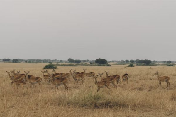Jaipur Tour